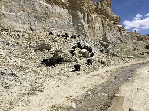 UNADJUSTEDNONRAW_thumb_3d61