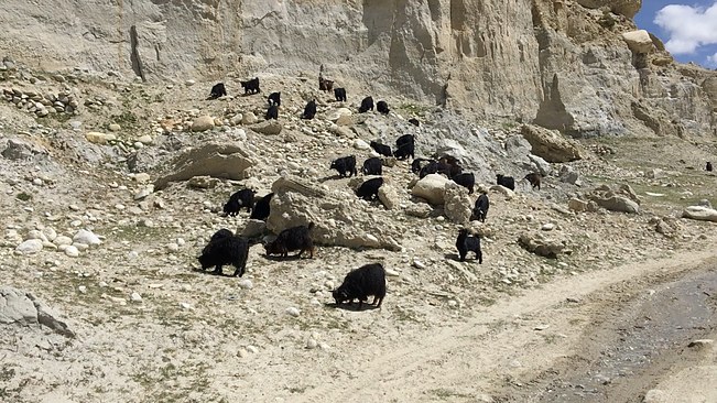 UNADJUSTEDNONRAW_thumb_3d62