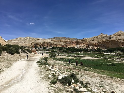 UNADJUSTEDNONRAW_thumb_3d6c