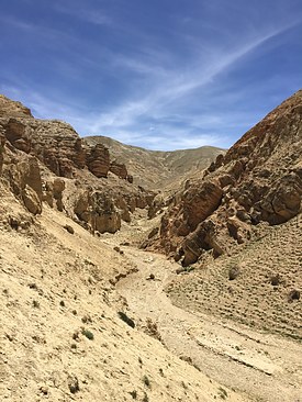 UNADJUSTEDNONRAW_thumb_3d7e