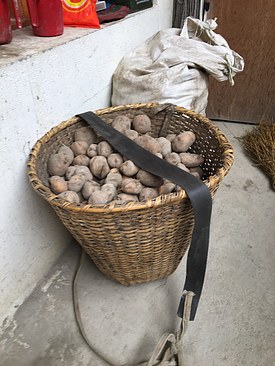 UNADJUSTEDNONRAW_thumb_3dac