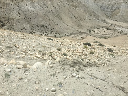 UNADJUSTEDNONRAW_thumb_3dad