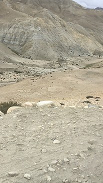 UNADJUSTEDNONRAW_thumb_3dae