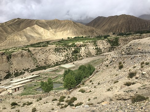 UNADJUSTEDNONRAW_thumb_3ddc