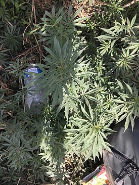 UNADJUSTEDNONRAW_thumb_3e02