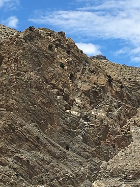 UNADJUSTEDNONRAW_thumb_3e26