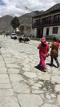 UNADJUSTEDNONRAW_thumb_3e2c