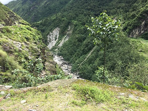 UNADJUSTEDNONRAW_thumb_3e53