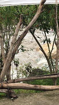 UNADJUSTEDNONRAW_thumb_3e6c