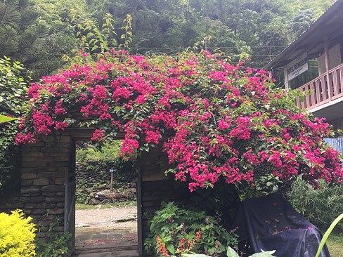 UNADJUSTEDNONRAW_thumb_3e70