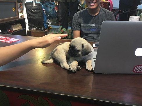 UNADJUSTEDNONRAW_thumb_3eed